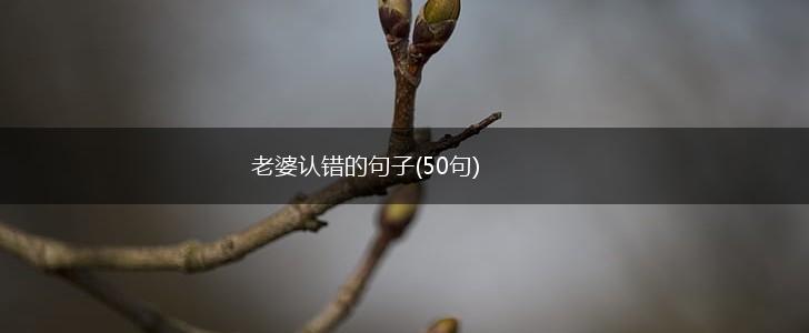 老婆认错的句子(50句),第1张