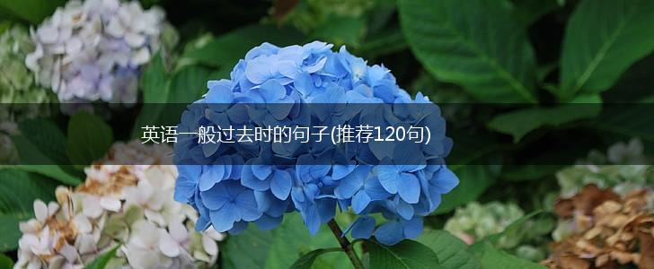 英语一般过去时的句子(推荐120句),第1张