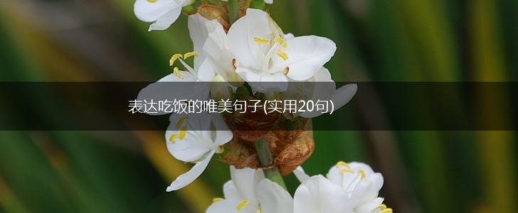 表达吃饭的唯美句子(实用20句),第1张