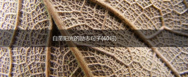 自带阳光的励志句子(40句),第1张