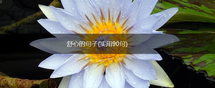 舒心的句子(实用90句),第1张