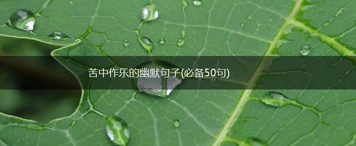 苦中作乐的幽默句子(必备50句),第1张