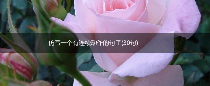 仿写一个有连续动作的句子(30句),第1张