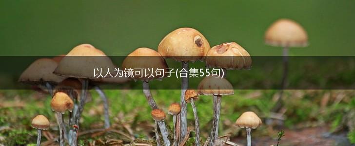 以人为镜可以句子(合集55句),第1张
