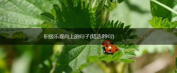 积极乐观向上的句子(精选89句),第1张