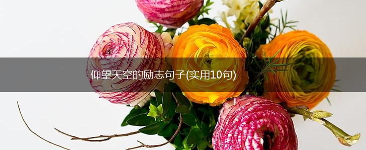 仰望天空的励志句子(实用10句),第1张