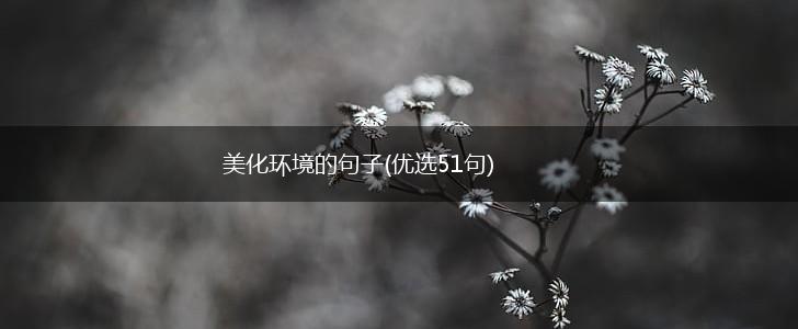 美化环境的句子(优选51句),第1张