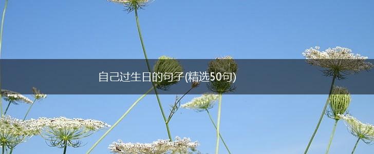 自己过生日的句子(精选50句),第1张