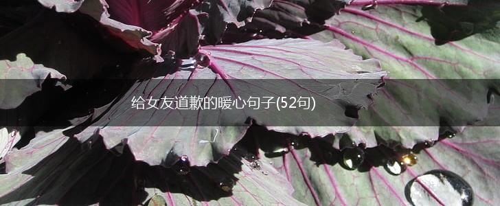 给女友道歉的暖心句子(52句),第1张