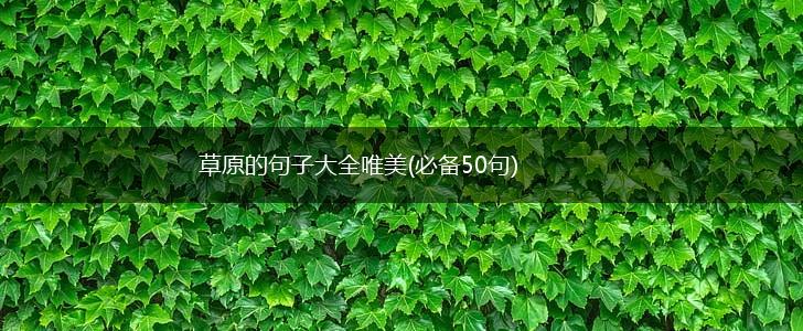 草原的句子大全唯美(必备50句),第1张