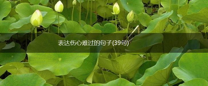 表达伤心难过的句子(39句),第1张