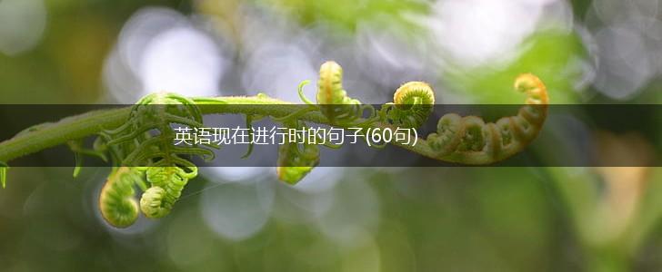 英语现在进行时的句子(60句),第1张