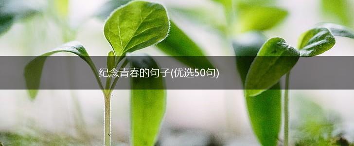 纪念青春的句子(优选50句),第1张