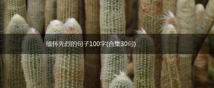 缅怀先烈的句子100字(合集30句),第1张