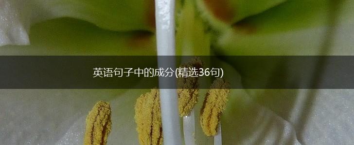 英语句子中的成分(精选36句),第1张