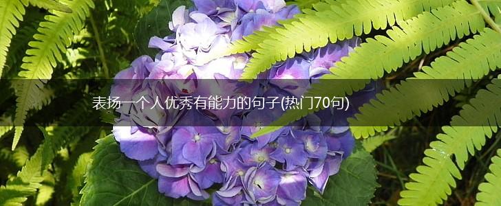 表扬一个人优秀有能力的句子(热门70句),第1张