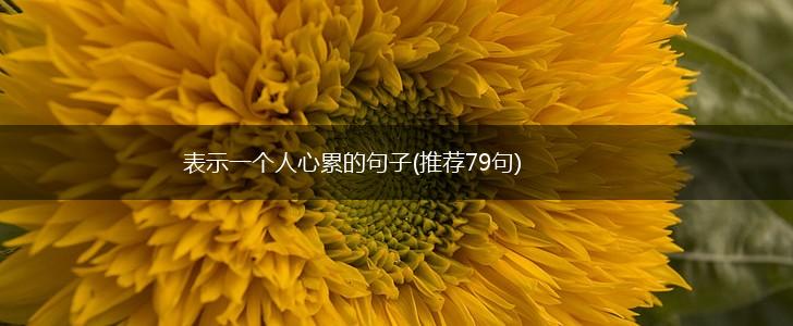 表示一个人心累的句子(推荐79句),第1张