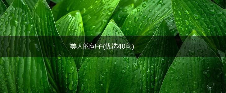 美人的句子(优选40句),第1张