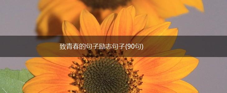 致青春的句子励志句子(90句),第1张