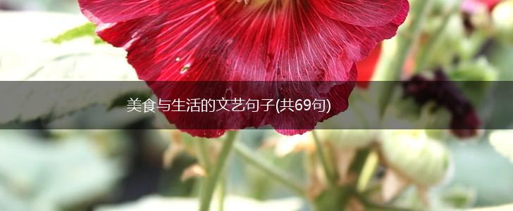 美食与生活的文艺句子(共69句),第1张