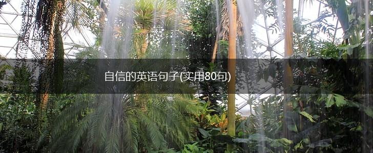 自信的英语句子(实用80句),第1张