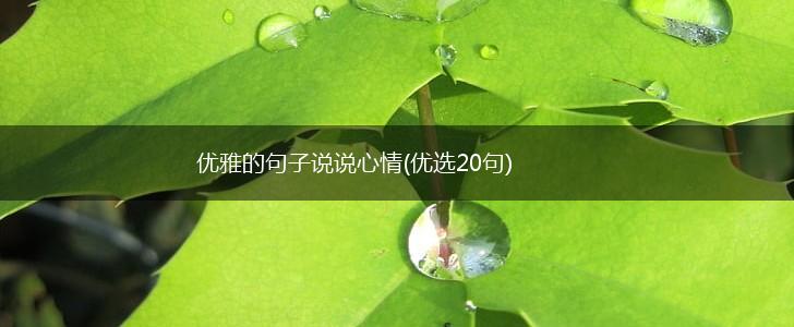 优雅的句子说说心情(优选20句),第1张