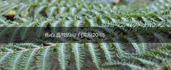 伤心 孤独的句子(实用20句),第1张