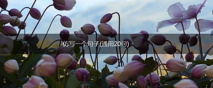 仿写一个句子(通用20句),第1张