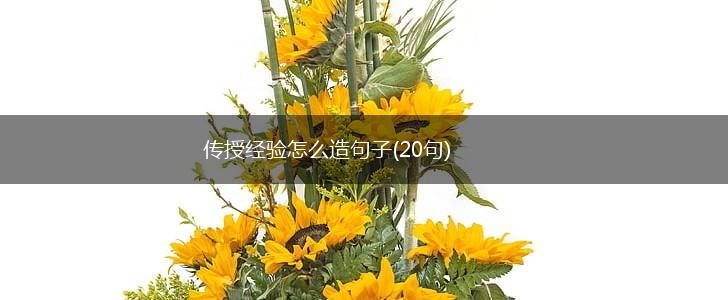 传授经验怎么造句子(20句),第1张