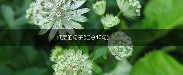 低层的句子(汇总40句),第1张