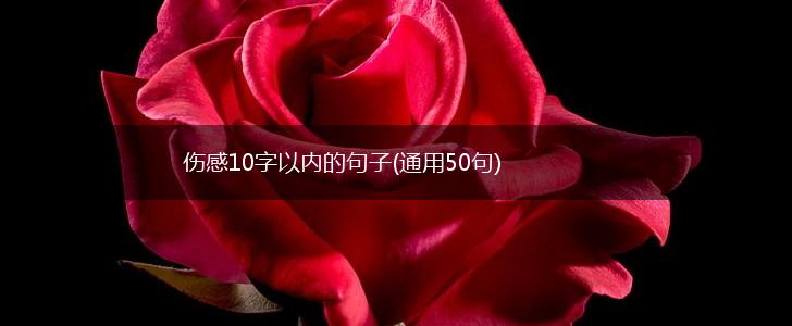 伤感10字以内的句子(通用50句),第1张