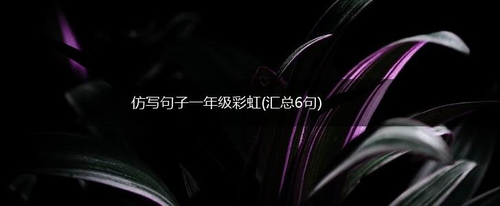 仿写句子一年级彩虹(汇总6句),第1张