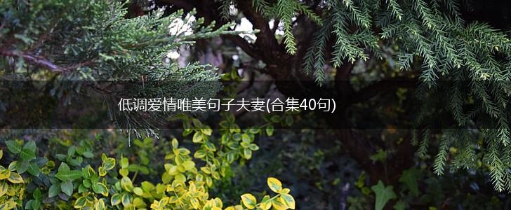 低调爱情唯美句子夫妻(合集40句),第1张