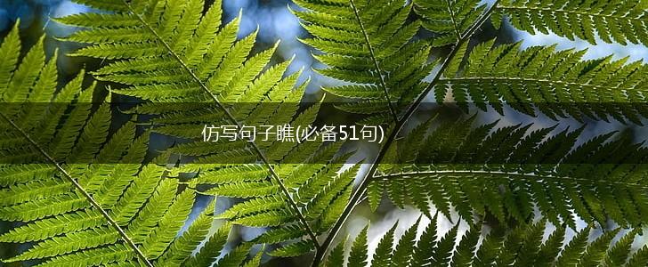 仿写句子瞧(必备51句),第1张