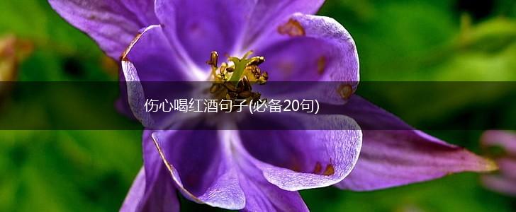 伤心喝红酒句子(必备20句),第1张