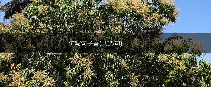 仿写句子香(共15句),第1张