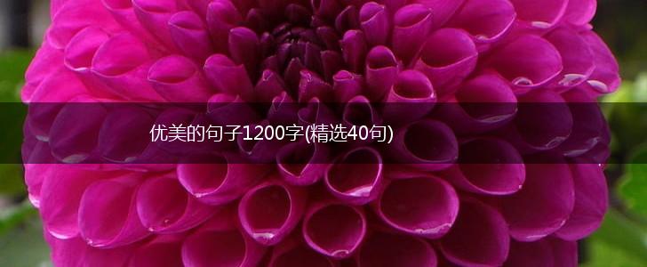 优美的句子1200字(精选40句),第1张
