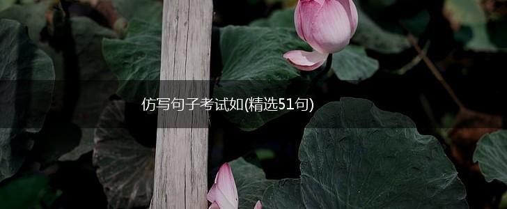 仿写句子考试如(精选51句),第1张