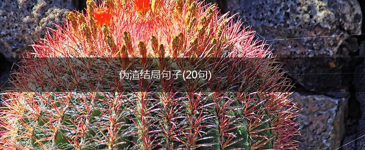 伪渣结局句子(20句),第1张