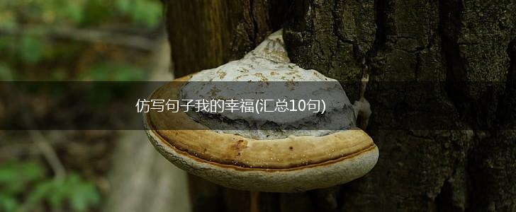仿写句子我的幸福(汇总10句),第1张