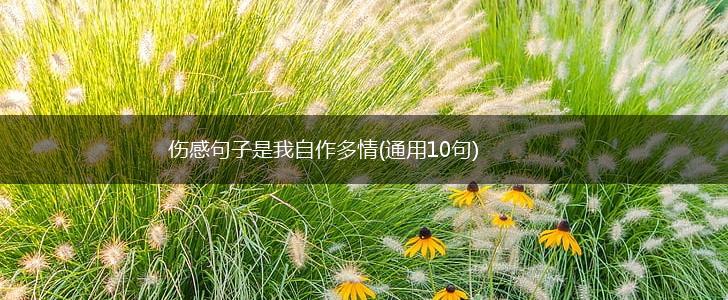 伤感句子是我自作多情(通用10句),第1张