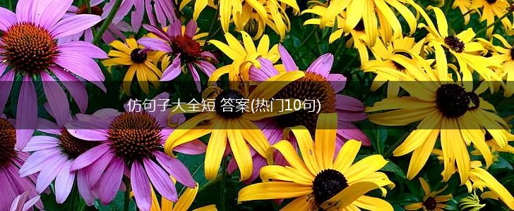仿句子大全短 答案(热门10句),第1张