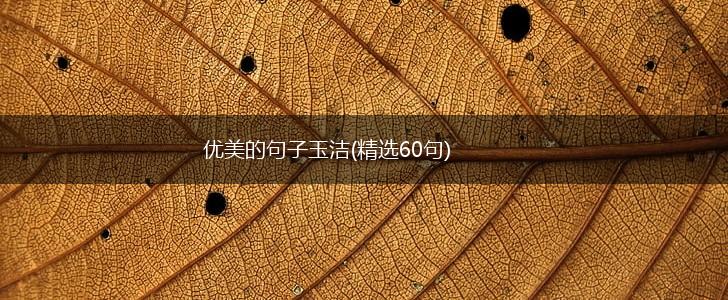 优美的句子玉洁(精选60句),第1张
