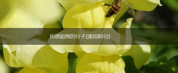 伤感超拽的句子(通用80句),第1张