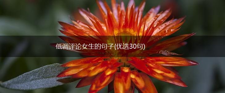 低调评论女生的句子(优选30句),第1张