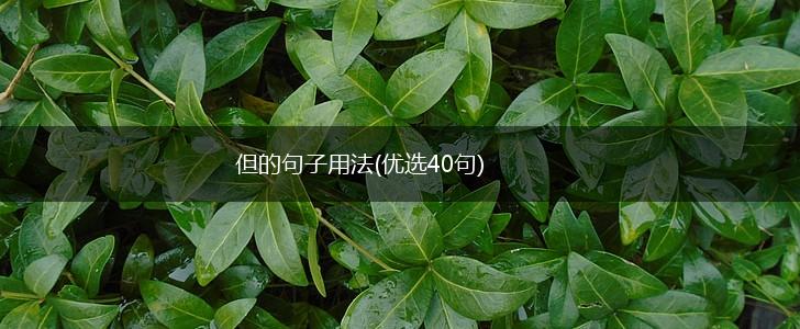 但的句子用法(优选40句),第1张