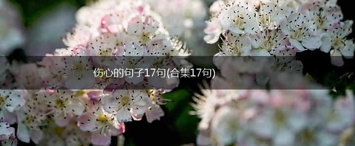 伤心的句子17句(合集17句),第1张