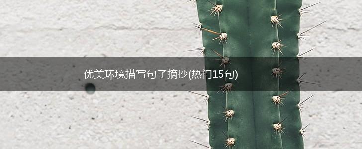 优美环境描写句子摘抄(热门15句),第1张