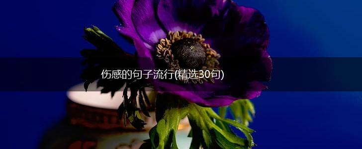 伤感的句子流行(精选30句),第1张