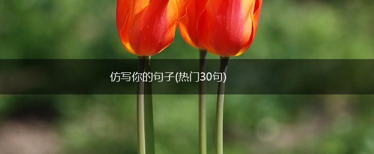 仿写你的句子(热门30句),第1张